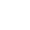 Shield icon
